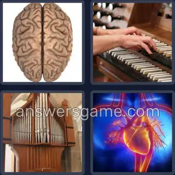 4 Fotos 1 Palabra 6 letras ORGANO