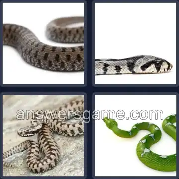 4 Fotos 1 Palabra 6 letras VIBORA