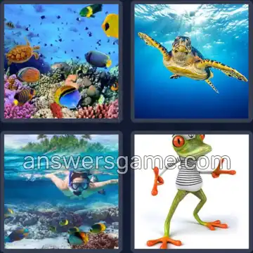 4 Fotos 1 Palabra 6 letras MARINO