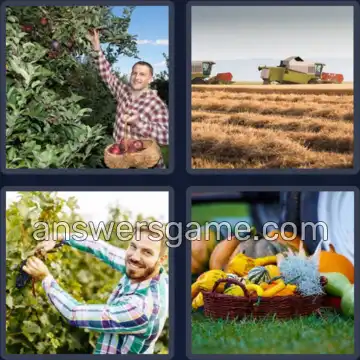 4 Fotos 1 Palabra 7 letras COSECHA