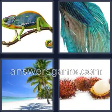 4 Fotos 1 Palabra 7 letras EXOTICO