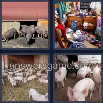 4 Fotos 1 Palabra 7 letras POCILGA