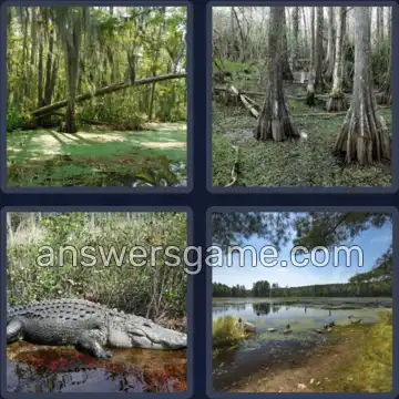 4 Fotos 1 Palabra 7 letras PANTANO