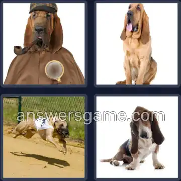 4 Fotos 1 Palabra 7 letras SABUESO