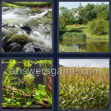 4 Fotos 1 Palabra 7 letras BIOTOPO