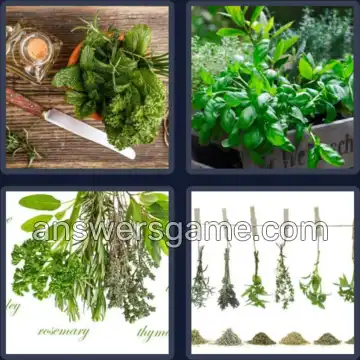 4 Fotos 1 Palabra 7 letras HIERBAS