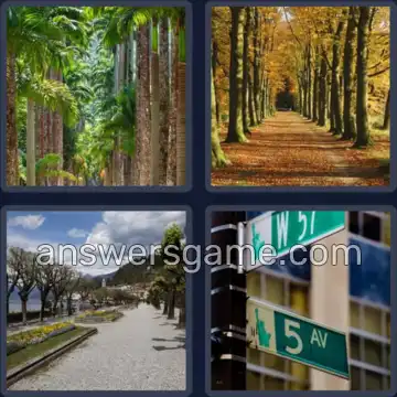 4 Fotos 1 Palabra 7 letras AVENIDA