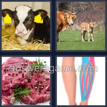 4 Fotos 1 Palabra 7 letras TERNERO