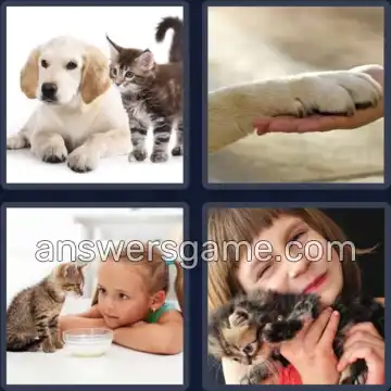 4 Fotos 1 Palabra 7 letras MASCOTA