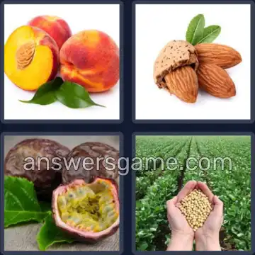 4 Fotos 1 Palabra 7 letras SEMILLA