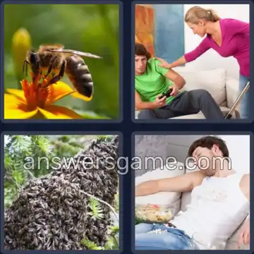 4 Fotos 1 Palabra 7 letras ZANGANO