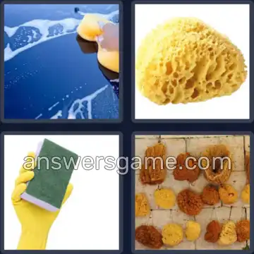 4 Fotos 1 Palabra 7 letras ESPONJA