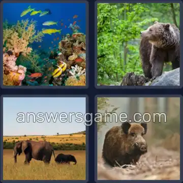 4 Fotos 1 Palabra 7 letras SALVAJE