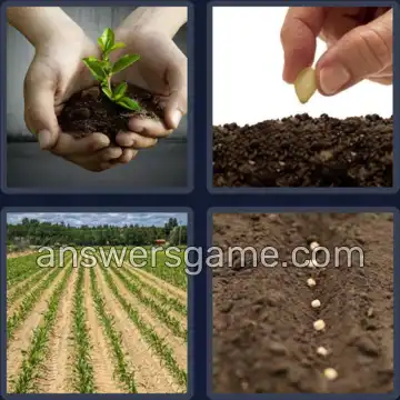 4 Fotos 1 Palabra 7 letras SEMBRAR