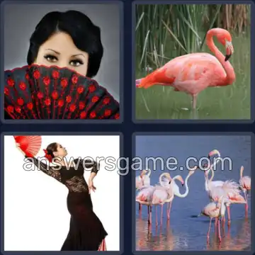 4 Fotos 1 Palabra 8 letras FLAMENCO