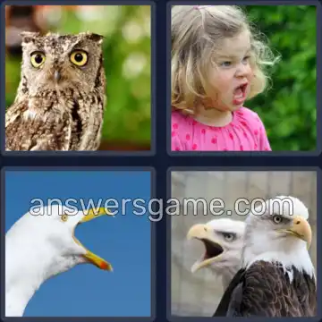 4 Fotos 1 Palabra 8 letras CHILLIDO