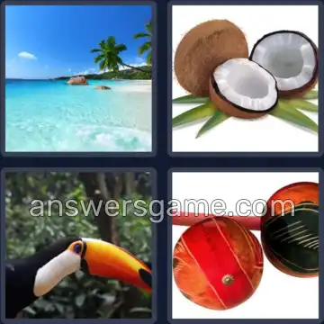 4 Fotos 1 Palabra 8 letras TROPICAL