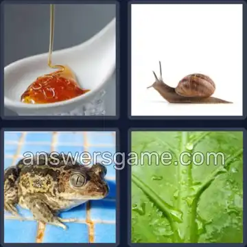 4 Fotos 1 Palabra 8 letras PEGAJOSO