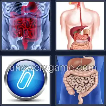 4 Fotos 1 Palabra 8 letras APENDICE