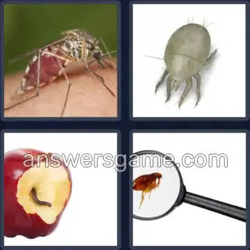 4 Fotos 1 Palabra 8 letras PARASITO