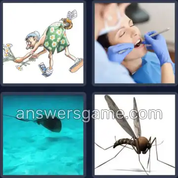 4 Fotos 1 Palabra 8 letras PICADURA