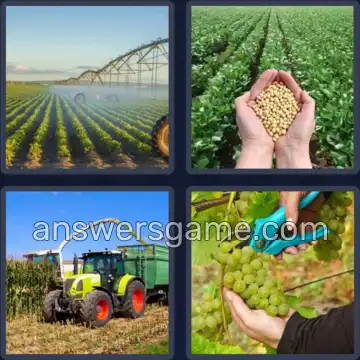 4 Fotos 1 Palabra 8 letras CULTIVAR