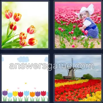 4 Fotos 1 Palabra 9 letras TULIPANES