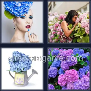 4 Fotos 1 Palabra 9 letras HORTENSIA