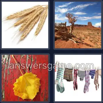 4 Images 1 Mot 3 lettres SEC