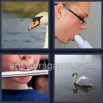 4 Images 1 Mot 3 lettres BEC