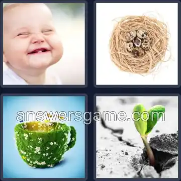 4 Images 1 Mot 3 lettres VIE