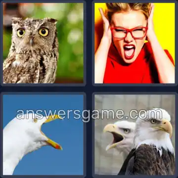 4 Images 1 Mot 3 lettres CRI