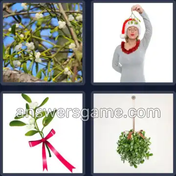 4 Images 1 Mot 3 lettres GUI