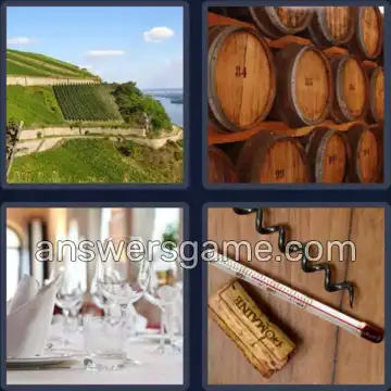 4 Images 1 Mot 3 lettres VIN