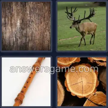 4 Images 1 Mot 4 lettres BOIS