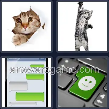 4 Images 1 Mot 4 lettres CHAT