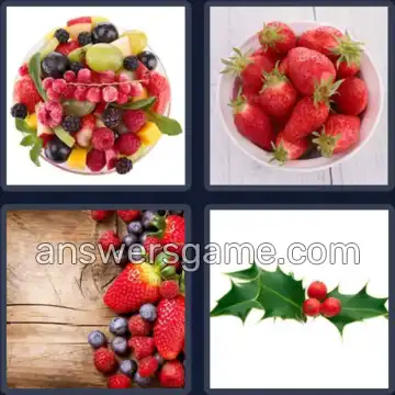 4 Images 1 Mot 4 lettres BAIE