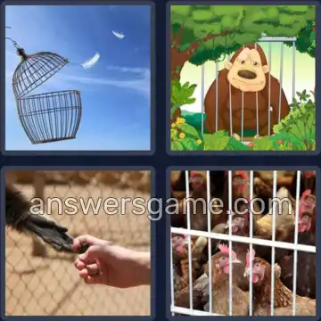 4 Images 1 Mot 4 lettres CAGE