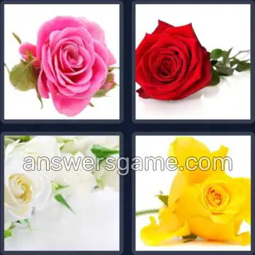4 Images 1 Mot 4 lettres ROSE