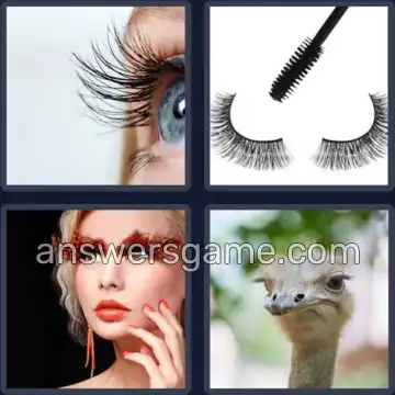 4 Images 1 Mot 4 lettres CILS