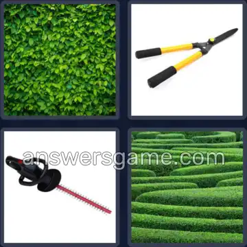 4 Images 1 Mot 4 lettres HAIE