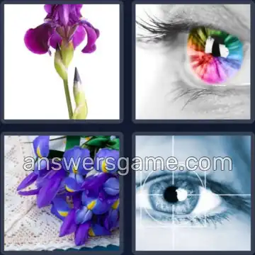 4 Images 1 Mot 4 lettres IRIS