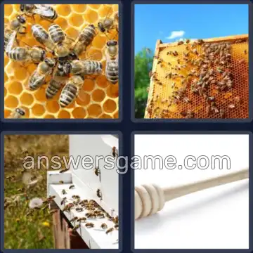 4 Images 1 Mot 4 lettres MIEL