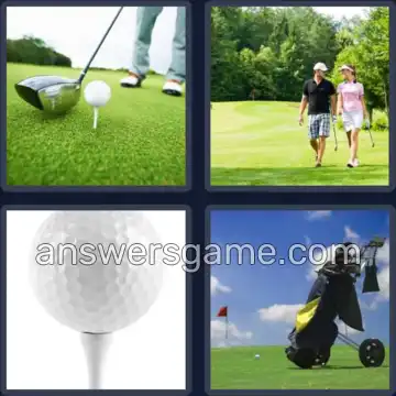 4 Images 1 Mot 4 lettres GOLF