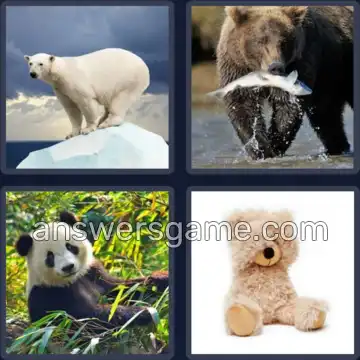 4 Images 1 Mot 4 lettres OURS