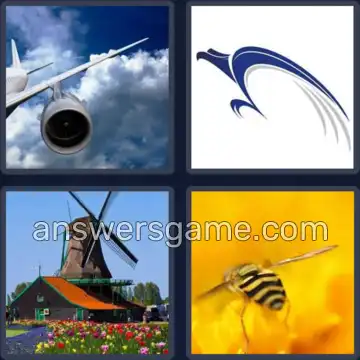 4 Images 1 Mot 4 lettres AILE