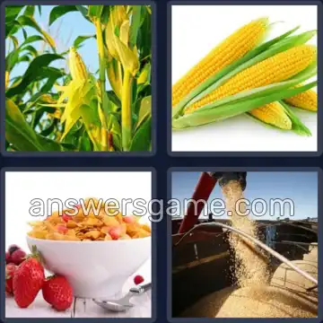 4 Images 1 Mot 4 lettres MAIS