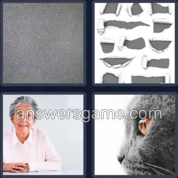 4 Images 1 Mot 4 lettres GRIS
