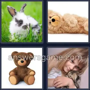 4 Images 1 Mot 4 lettres CHOU