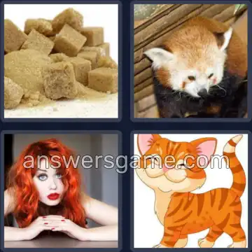 4 Images 1 Mot 4 lettres ROUX